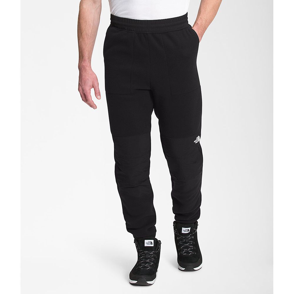 The North Face Pants Mens Australia - The North Face Denali 2 Black (RKA-341869)